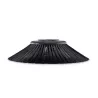 Brosse latérale de rechange - ANUBIS1300 - SPA.0012