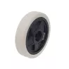 Roue fixe arrière pour châssis en acier basculant - T0530