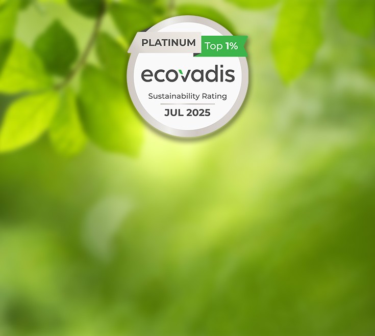 Consultez notre article complet !