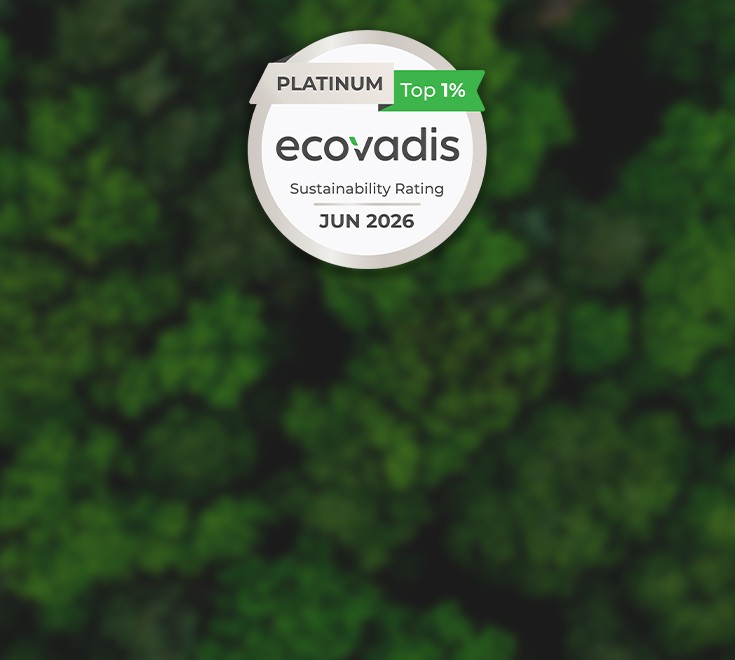 Consultez notre article complet !